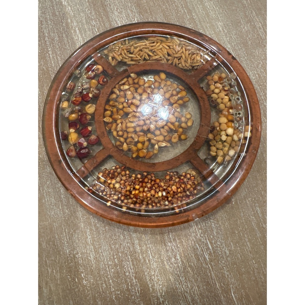 Vintage Gamut Designs Resin Grain Seed Trivet Wall Plaque Made in USA 6.75"